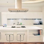 SH1 - Aluminium 310 cm housing - Brushed aluminium finish